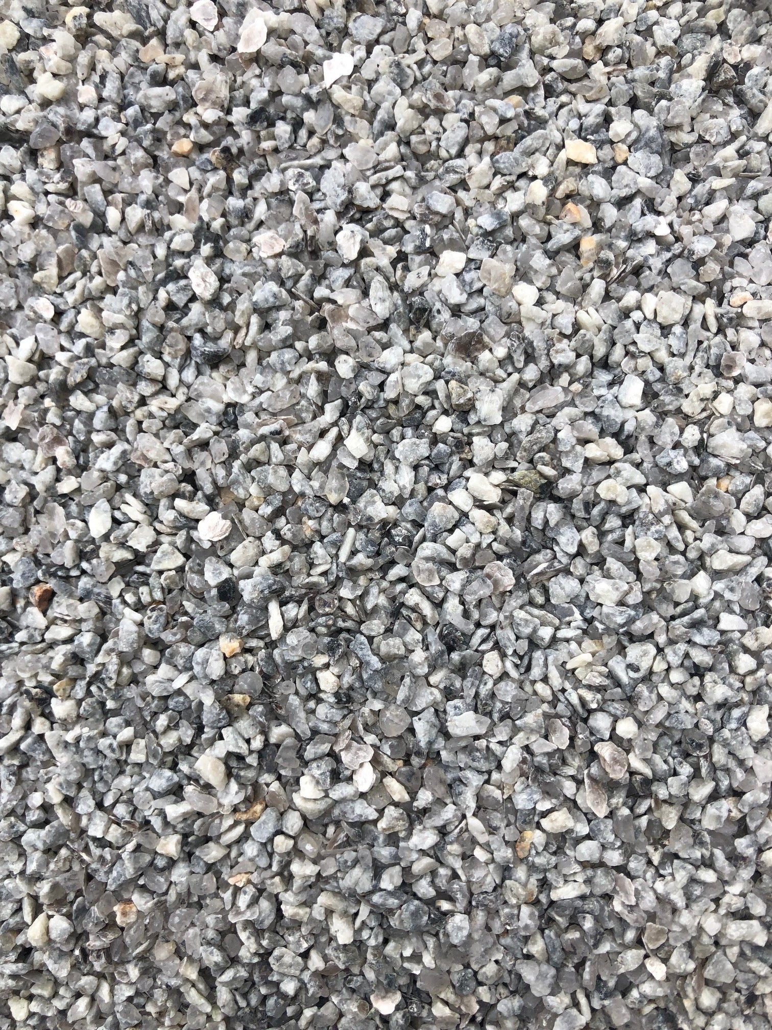 nordic grey